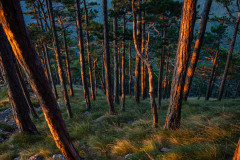 escape-from-Velebit